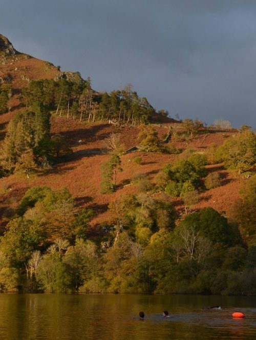 Capturing autumn walking from Ambleside to Rydal Water + a life catch up